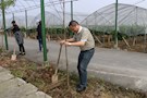 武陵区残联开展五一植树活动
