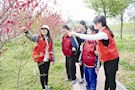 常德日报：西城阳光家园学员踏青赏桃花