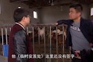 新闻媒体聚焦武陵区残联开展残疾人就业精准帮扶工作