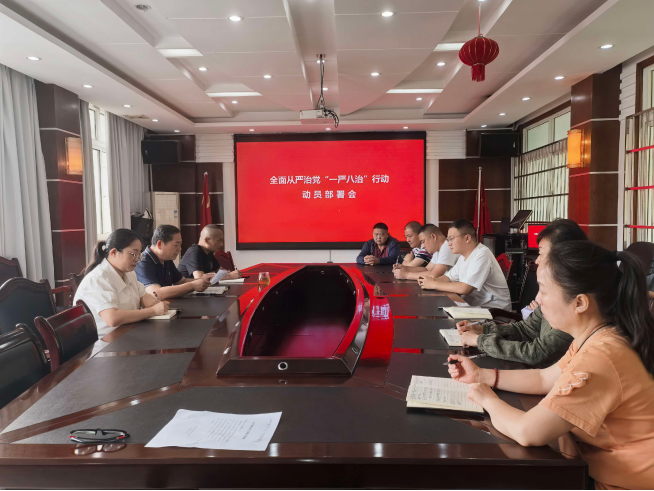 武陵区残联召开全面从严治党“一严八治”行动动员部署会