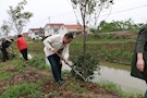 武陵区残联机关开展“我为武陵添新绿”义务植树活动
